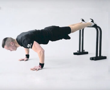 Паралетсы купить