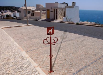 Собака парковка