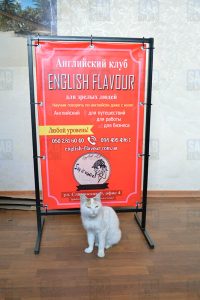 Штендер цена